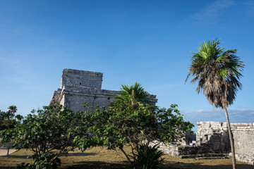 Fototapeta na wymiar Ruines maya, Tulum, Yucatán, Mexique