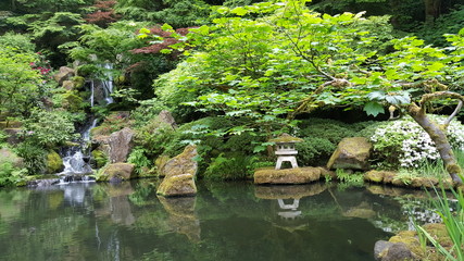 Fototapeta na wymiar Japanese garden 