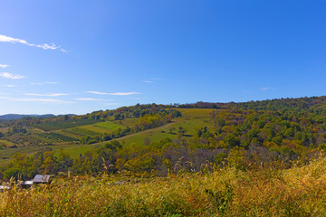 Naklejka premium Hilly countryside landscape in autumn. Farmland and forest on a sunny morning in fall.