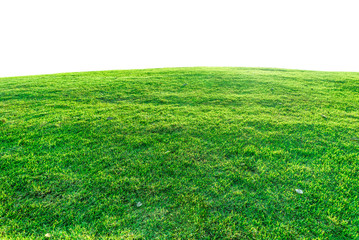 Fototapeta premium Green grass on a mound. It is isolated on white background.