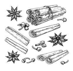 Cinnamon stick tied bunch, anise star and cloves. Vector drawing. Hand drawn sketch. Seasonal food