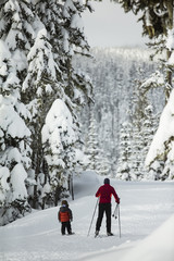 cross country skiing