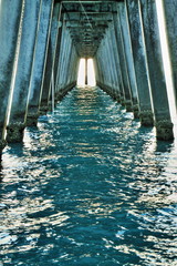Fototapeta premium Sharky's Pier
