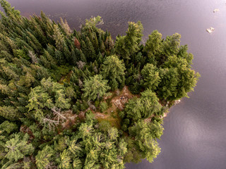 Beautiful small island with forest calm lake shore near Algonquin Park Canada