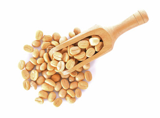 Coffee beans in scoop on white background