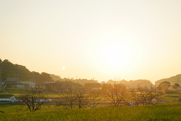 agricultural community in Japan