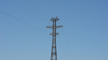 power line