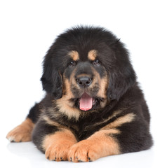 Senior woman reading book in library