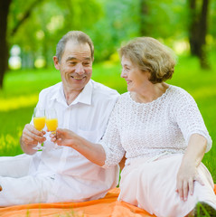 Senior couple drinking orange juice at a picnic