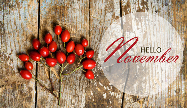 Hello November wallpaper with rose hips tree composition on rustic wooden background 