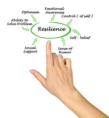 What contribute to resilence