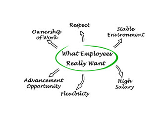 What Employees Really Want