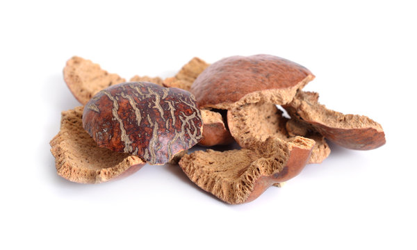 Dried peels of Hyphaene thebaica, doum palm or gingerbread tree (also doom palm). Isolated.