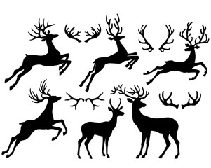 Silhouettes of deers and deer horns