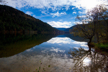 Fototapeta na wymiar Ufer des Lac de Longemer in den Vogesen