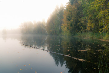 Naklejka na ściany i meble Autumn landscape. Pond and colorful trees in the forest.Misty morning.