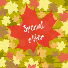 Maple leaf with special offer on autumn background.