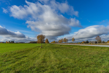 Green field and trees