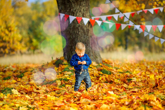 happy kid walks in a beautiful autumn park.