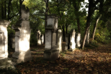 Alter Biedermeier Friedhof im Herbst - St. Marx, Wien
