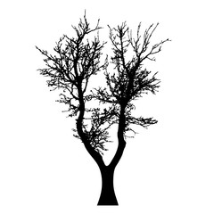 Fototapeta premium Vector silhouette of tree on white background.