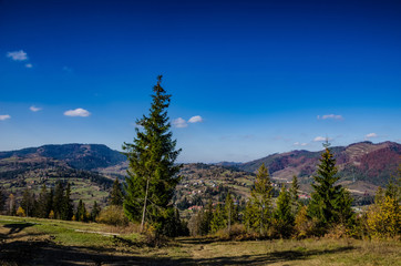 Ukrainian Carpathian Mountains in the autumn season