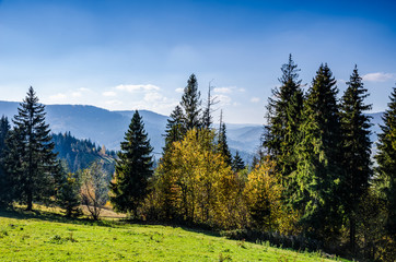 Ukrainian Carpathian Mountains in the autumn season