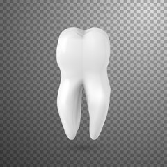 Illustration of Vector Tooth Icon. Realistic Teeth Isolated on Transparent Overlay Background