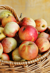 Bright ripe apples in a basket