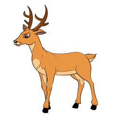 Fototapeta premium Illustration of Deer Cartoon -Vector Illustration