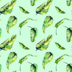 Watercolor palm tropical green leaves seamless pattern, hand painted isolated on a light green background