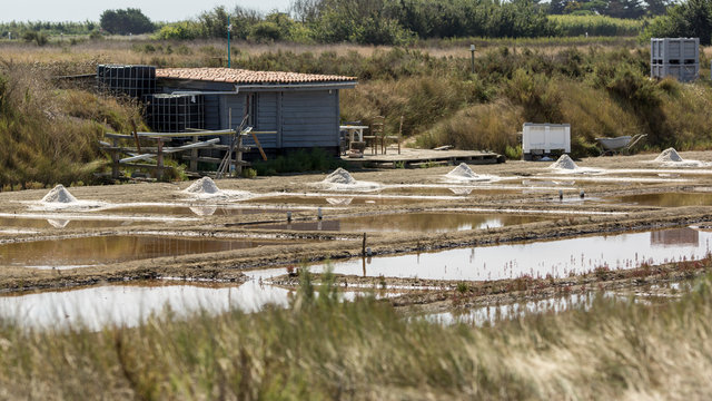 Marais salant ile de r&eacute;