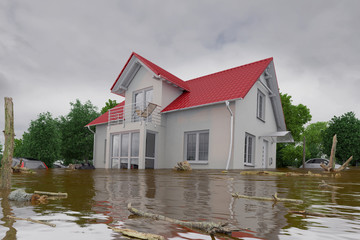 3d render of a flooding white house - force of nature