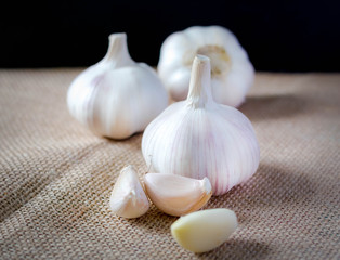 Garlic and Garlic Cloves and bulb on vintage burlap.