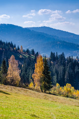 Ukrainian Carpathian Mountains in the autumn season