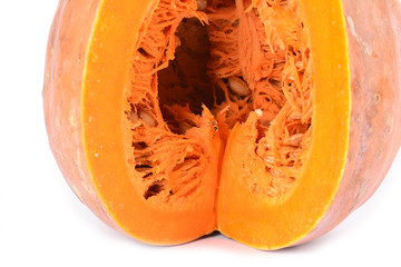 Pumpkin on white background