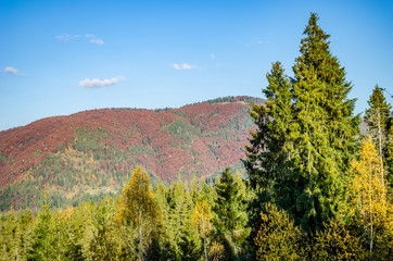 Ukrainian Carpathian Mountains in the autumn season