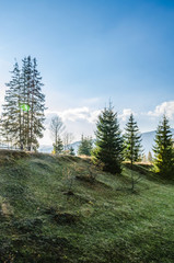 Ukrainian Carpathian Mountains in the autumn season