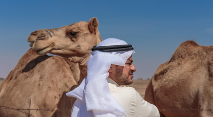 Arab men and camels on the farm
