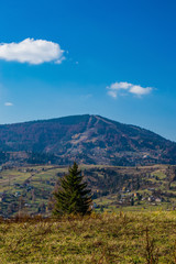 Fototapeta premium Ukrainian Carpathian Mountains in the autumn season