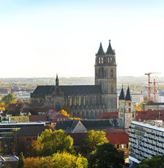 Naklejka premium Dom zu Magdeburg