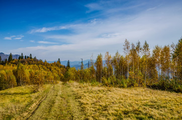 Ukrainian Carpathian Mountains in the autumn season