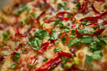 pepperoni pizza closeup