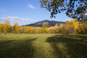 Fototapeta premium Pradera rodeada de arboleda otoñal y montañas en segundo plano. Cercadas por hilo de pastor electrico