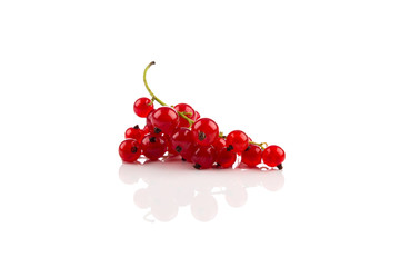 Red currant isolated