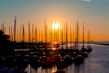 rows of boats mast
