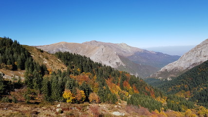 Fototapeta premium Chiusa di Pesio - Percorso per Rifugio Garelli