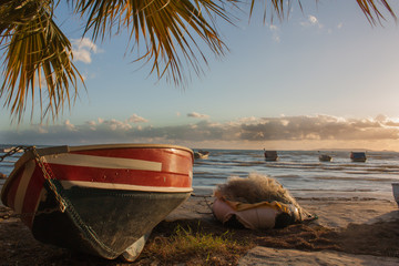 waiting on the sand at the beach boat. palm leaves cloudy sunset.