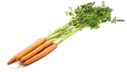 Fresh long orange carrot set with leaves isolated on white background