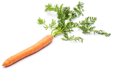 One fresh long orange carrot with leaves isolated on white background